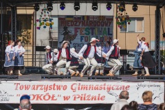 Międzynarodowy_festiwaf_folkloru_2019-112