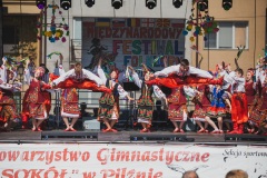 Międzynarodowy_festiwaf_folkloru_2019-120